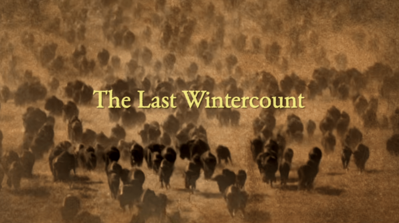 The Last Wintercount documentary title card.