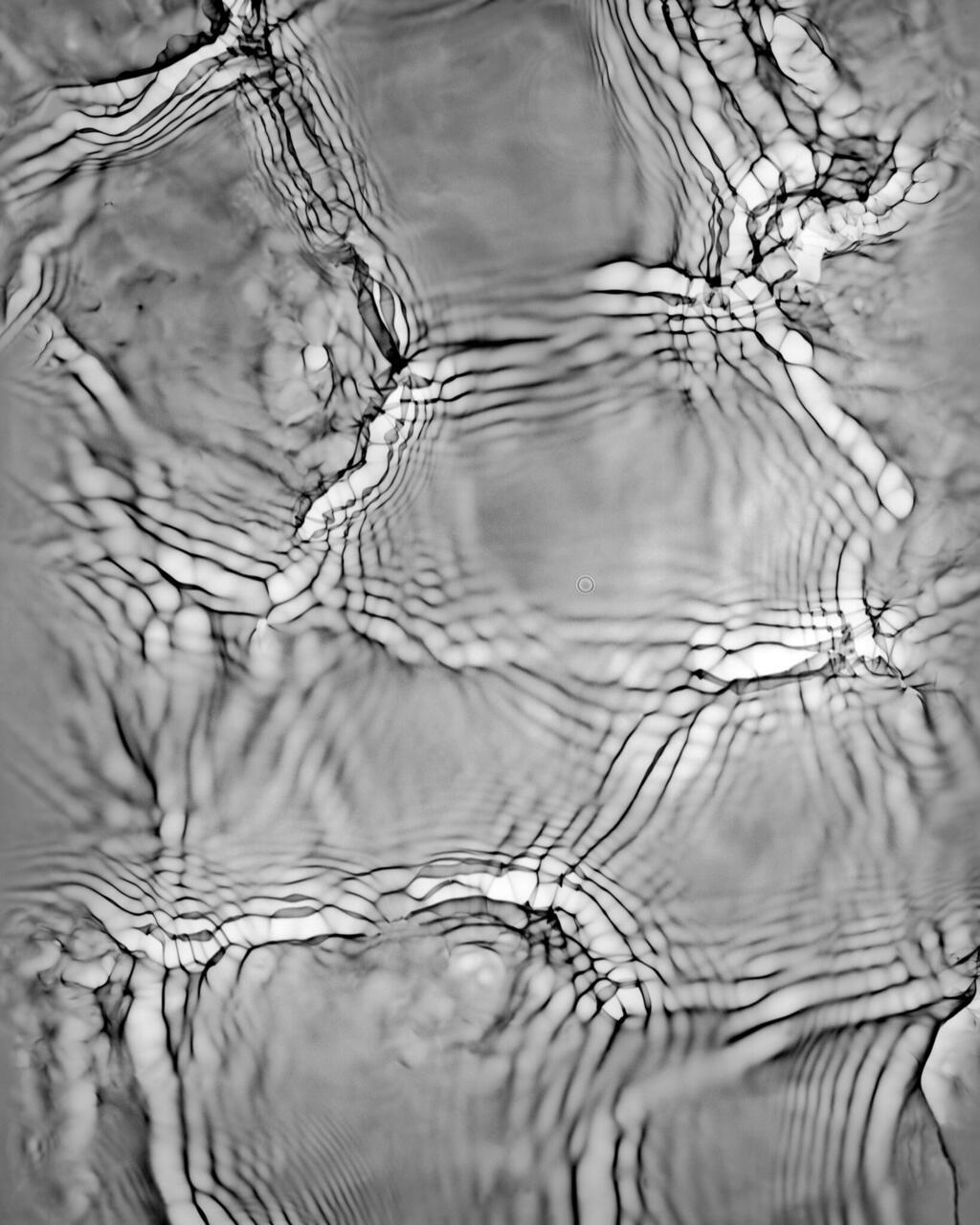 SFink.Mississippi-River-Watergram-1638x2048